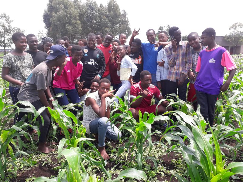 Young people standing together in a maize field
